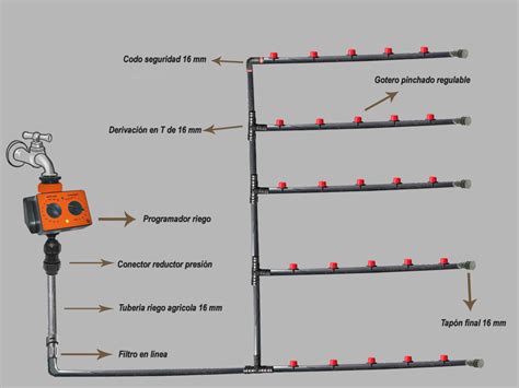 Esquema de un sistema de riego por goteo con 4 líneas en un huerto de nogales.