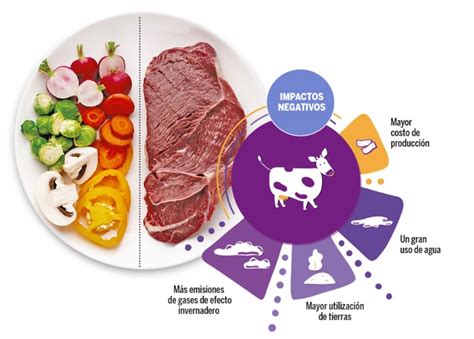 Ilustración representando la evolución humana y el consumo de carne.