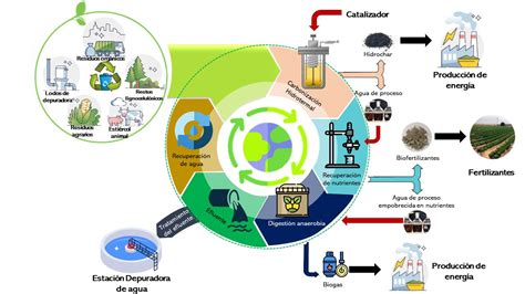 Esquema del proceso de transformación de residuos orgánicos en biopolímeros mediante biorreactores.