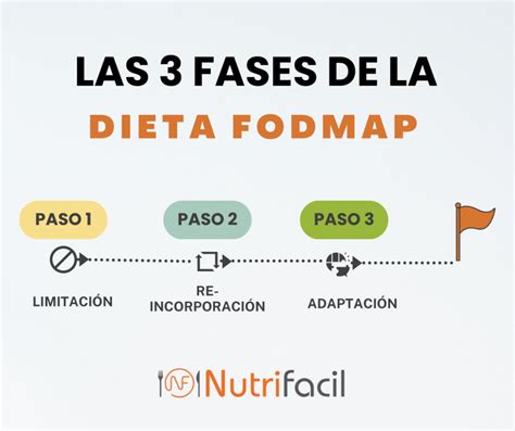 Esquema de las fases de la dieta post-bariátrica: desde líquidos claros hasta la incorporación de alimentos sólidos de forma progresiva.
