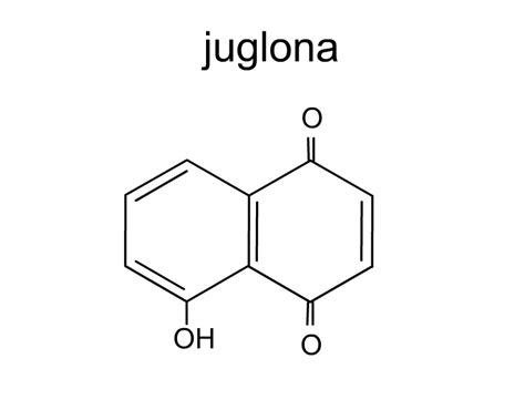 Estructura química de la juglona, el compuesto activo principal en la cáscara de nuez