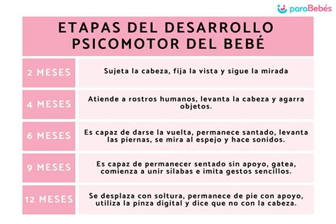 Esquema de las etapas del desarrollo psicomotor y áreas clave de estimulación infantil