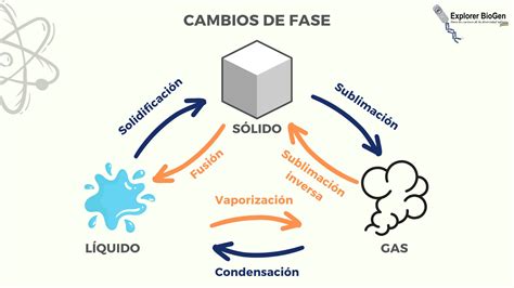 Esquema de las fases de la ebullición del agua mostrando la formación de burbujas