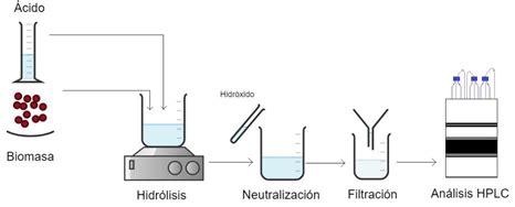 Esquema del proceso de hidrólisis de colágeno para obtener gelatina