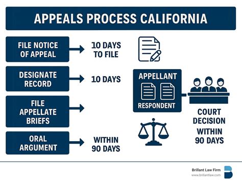 Infographic showing the legal process of an appeal or resource