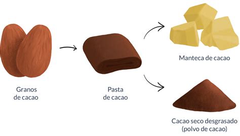 Esquema de la composición del chocolate blanco destacando la manteca de cacao y la ausencia de sólidos de cacao