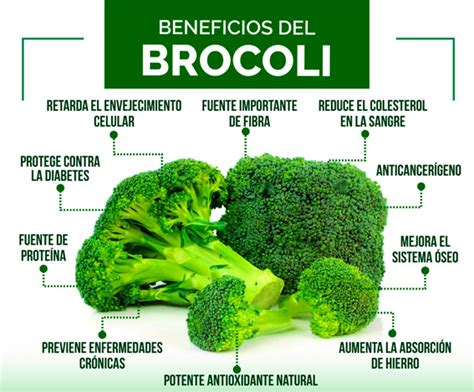 Infografía detallando los beneficios nutricionales del brócoli: vitaminas, minerales, fibra y antioxidantes.