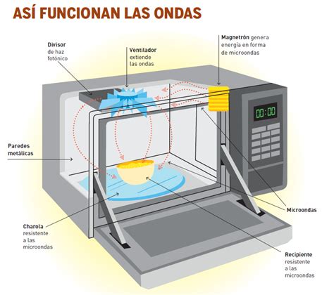 Esquema técnico que muestra el interior de un microondas: magnetrón, guía de ondas y plato giratorio