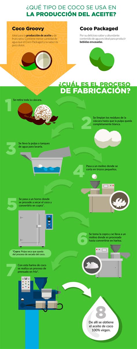 Infografía mostrando el proceso de elaboración de los chips de coco, desde el coco fresco hasta el producto final.