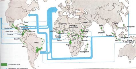 Mapa mundial destacando las principales regiones productoras de coco.