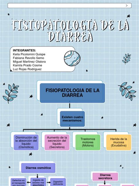 Esquema sobre la fisiopatología de la diarrea: pérdida de vellosidades intestinales, deshidratación y desequilibrio electrolítico.