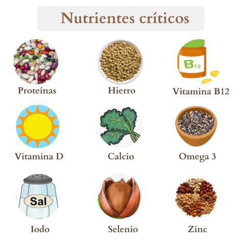 Gráfico de barras mostrando la ingesta de nutrientes críticos en dietas veganas y ovo-lácteo vegetarianas.