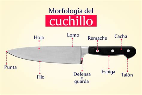 Diseño de la hoja de un cuchillo de cocina en papel cuadriculado
