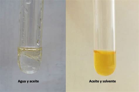 Prueba de solubilidad de un aceite comestible.