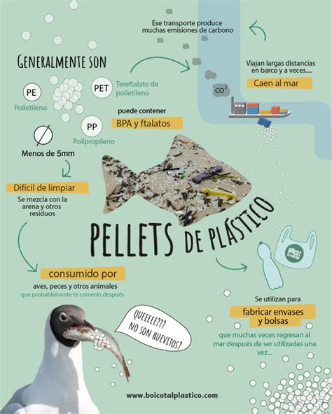 Infografía: Componentes de los pellets de salmón y destino de los desechos en la acuicultura