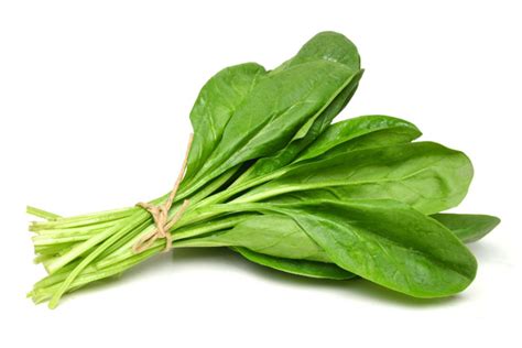 Un manojo de espinacas frescas y verdes
