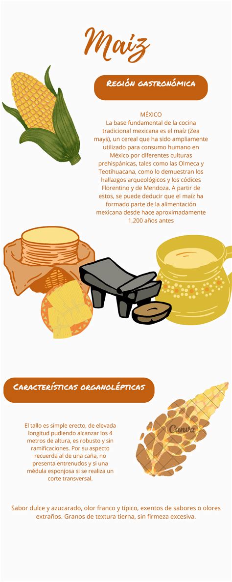 infografía sobre la importancia del maíz en la dieta mexicana y su evolución histórica