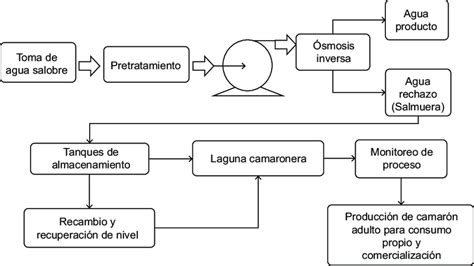 Diagrama general de una granja de salmón en producción acuícola.