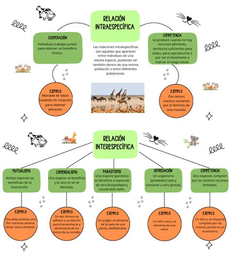 Esquema de las interacciones entre ingredientes, estructuras y procesos térmicos