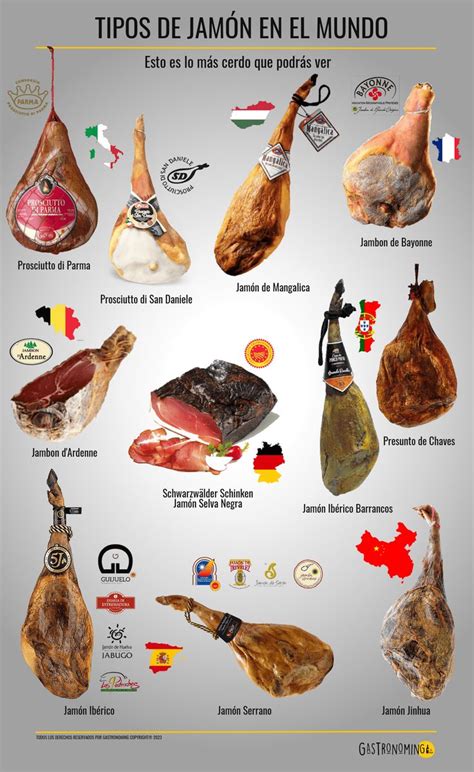 Infografía comparativa de los diferentes tipos de jamón español (ibérico, serrano, Duroc) con sus características principales