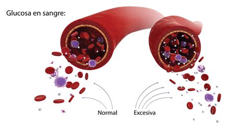 Representación de la glucosa en sangre y una balanza alimenticia