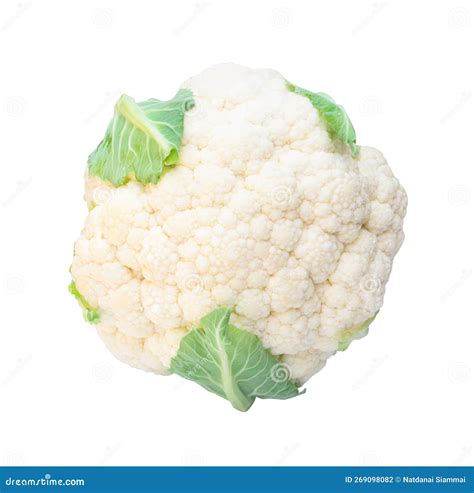 Ilustración botánica detallada de una cabeza de coliflor con sus hojas verdes.