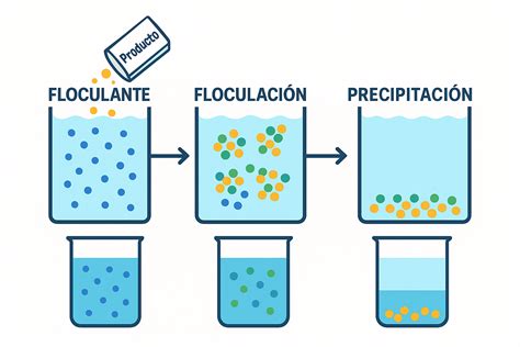Ilustración del proceso de floculación de levaduras