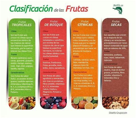 Infografía: Clasificación de frutas según acidez, características del fruto y niveles de pectina para mermeladas.