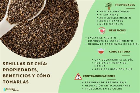 Infografía mostrando la proporción de ingredientes base: copos de avena, semillas de chía, leche y endulzante natural.