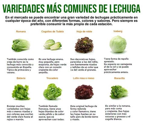 Tabla nutricional de diferentes variedades de lechuga