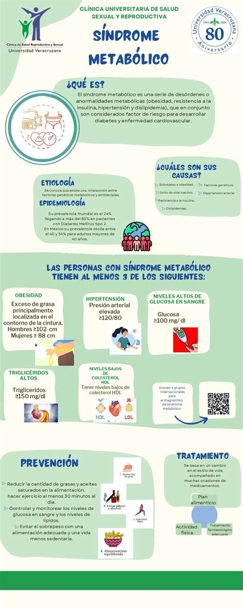 Infografía sobre el proceso metabólico de las grasas y el papel de la L-Carnitina