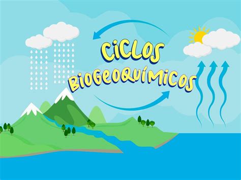 Diagrama explicativo sobre los ciclos de marea y su relación con la actividad de los crustáceos.