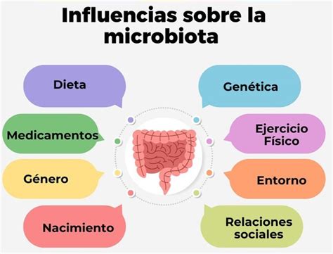 Esquema sobre el funcionamiento de la microbiota intestinal y el impacto positivo de los probióticos del yogurt.