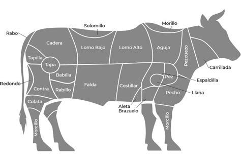 Esquema anatómico de la vaca con la numeración de los principales cortes cárnicos