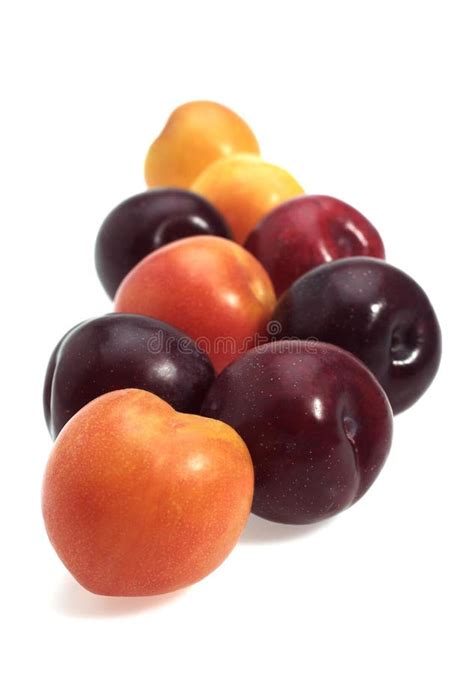 Frutas de verano variadas, incluyendo ciruelas rojas y amarillas, dispuestas de forma atractiva.