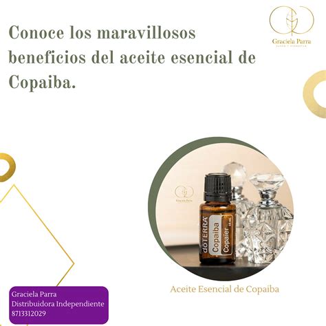 Infografía que muestra la aplicación del aceite sobre el rostro con movimientos circulares ascendentes.