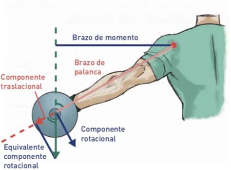 Diagrama mostrando el concepto de brazo de momento y torque en una articulación