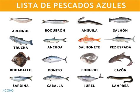 Infografía mostrando diferentes tipos de pescados blancos ideales para el