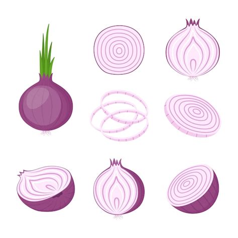 Ilustración de una cebolla morada entera y cortada, mostrando su color vibrante y capas.