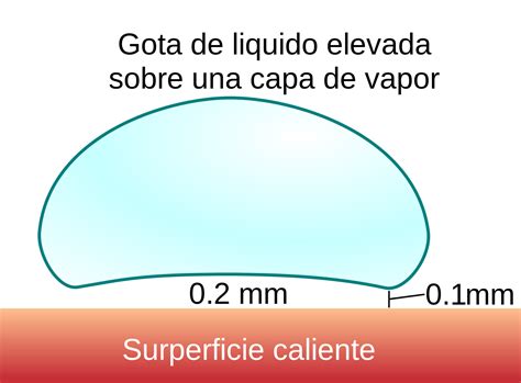 Ilustración del efecto Leidenfrost mostrando una gota de agua sobre una superficie caliente con una capa de vapor debajo