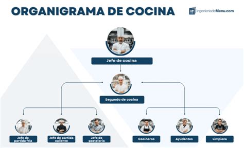 Organigrama de una cocina profesional