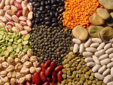 Esquema visual de los ingredientes básicos: granos de maíz, aceite de alta tolerancia al calor y mantequilla.