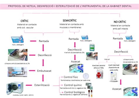 Esquema de limpieza de champiñones: métodos para retirar tierra y suciedad.
