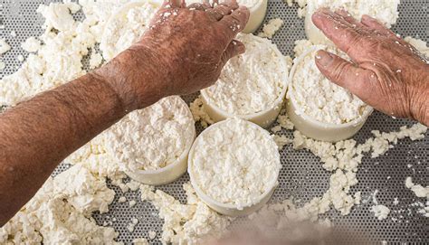 Productores locales elaborando quesos artesanales en la Región de Los Ríos
