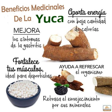 Esquema de los beneficios nutricionales de la yuca y su versatilidad en la cocina