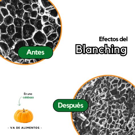 Infografía sobre el proceso de escaldado y empaquetado al vacío de la yuca