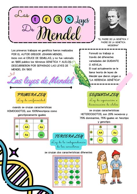 Infografía mostrando las diferentes definiciones de chicharrón a nivel mundial