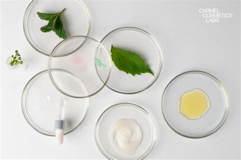 Infografía comparativa de los ingredientes activos y su función específica en la estructura de la epidermis.