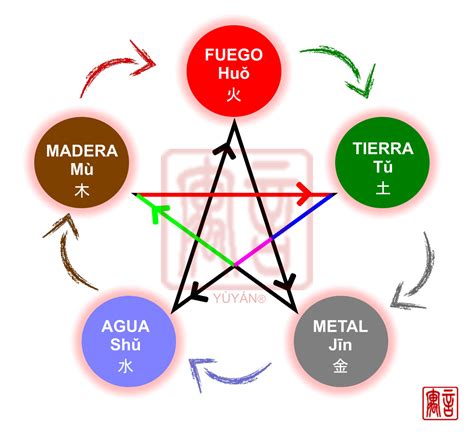 Gráfico ilustrativo de los cinco elementos y órganos en la Medicina Tradicional China