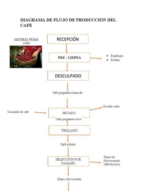 Diagrama de flujo que muestra el proceso de fermentación, secado y tostado de granos de cacao.